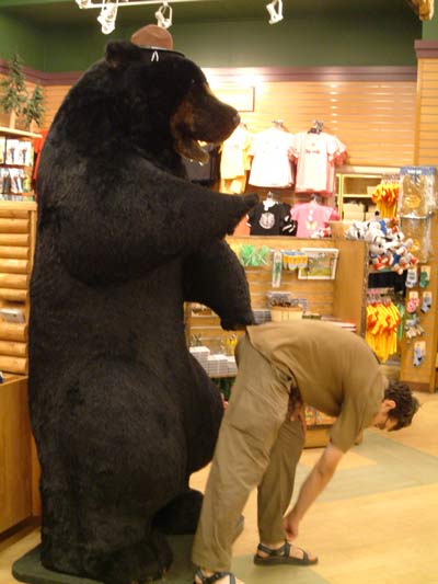 BackdoorBear_029.jpg