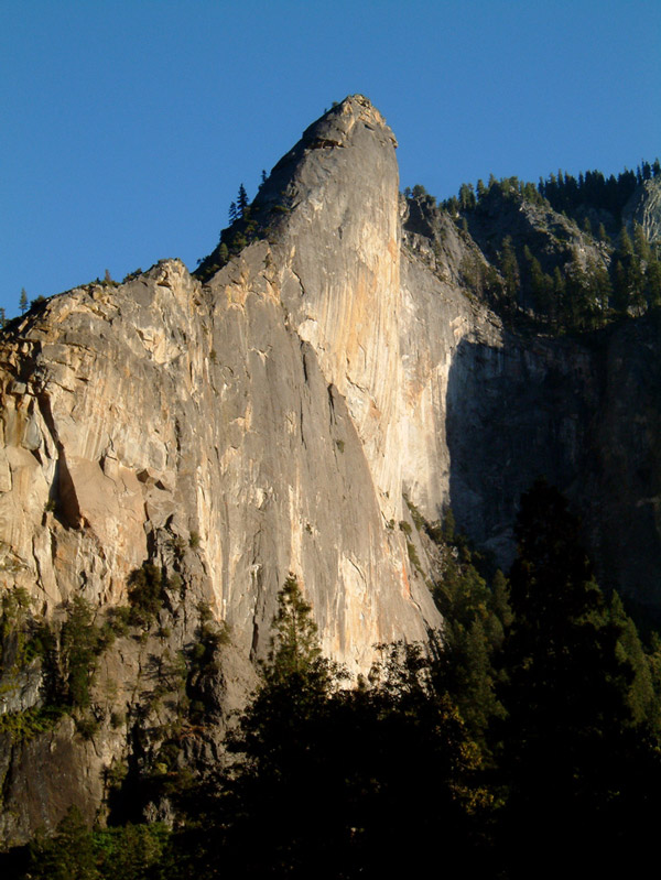 LeaningTower_288.jpg