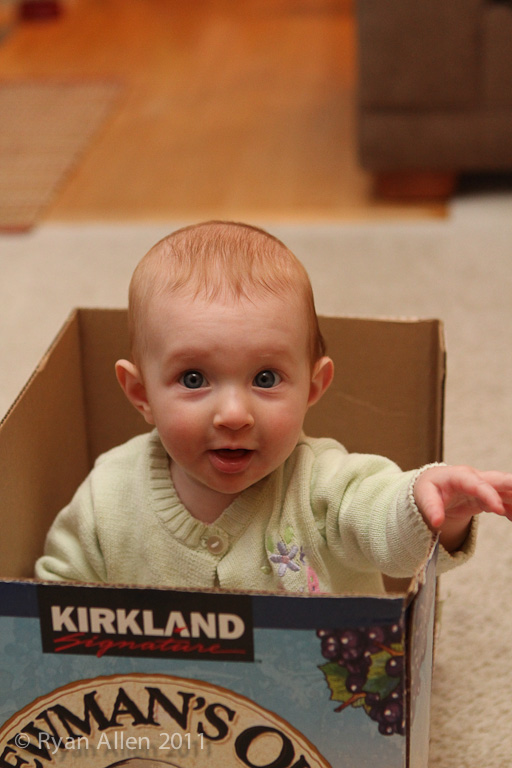 Thea in a Box